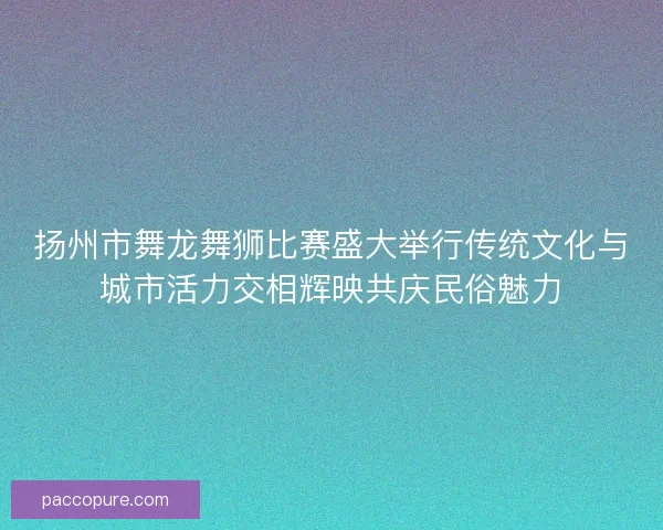 扬州市舞龙舞狮比赛盛大举行传统文化与城市活力交相辉映共庆民俗魅力